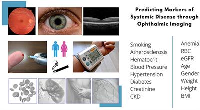 Artificial Intelligence in Predicting Systemic Parameters and Diseases From Ophthalmic Imaging